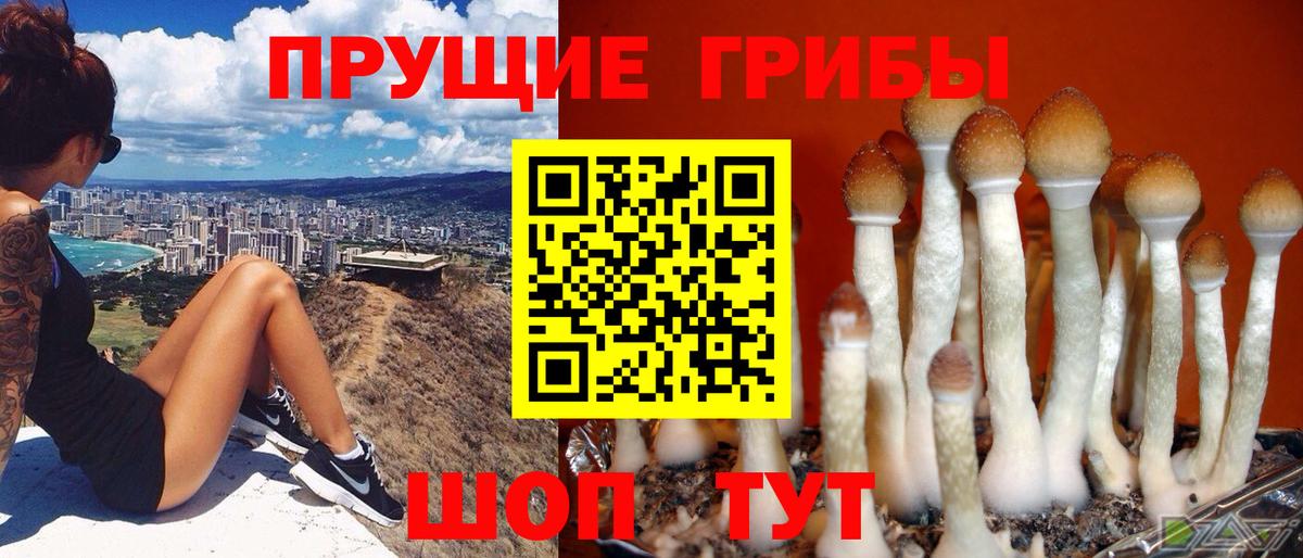 Кропоткин  Галлюциногенные грибы ЛСД  Вход с VPN 